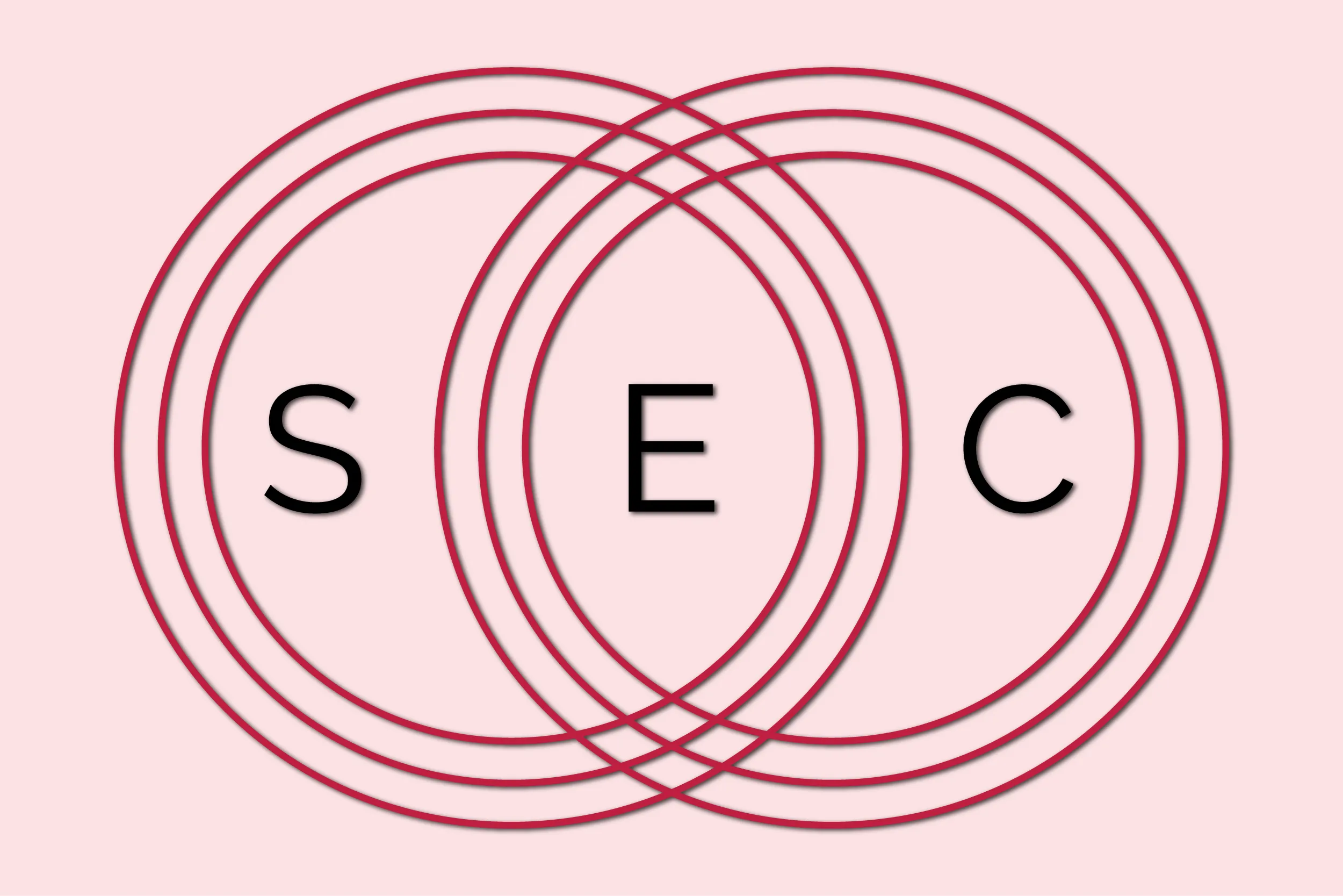 Skin Essence Co website preview