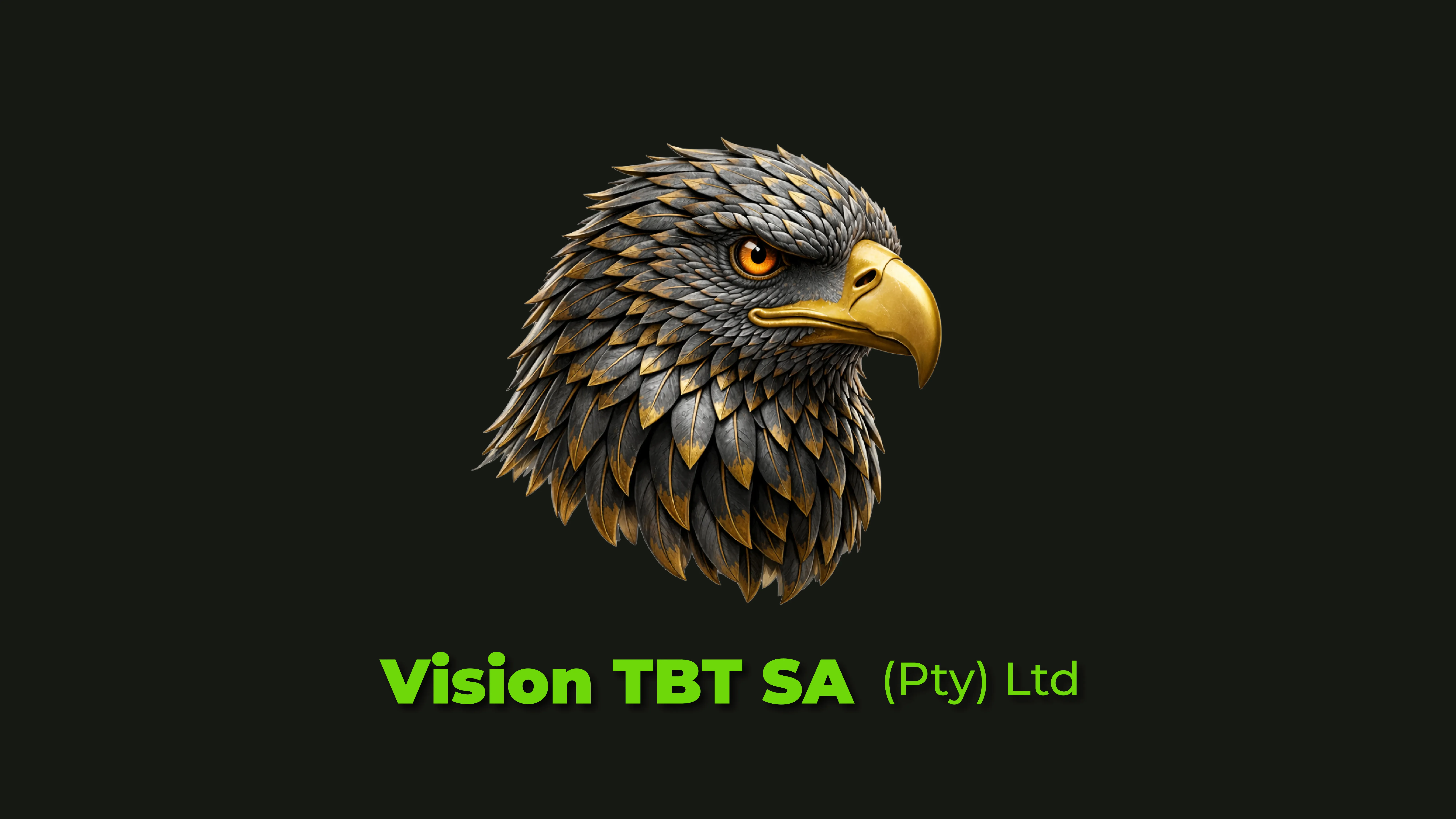 Vision TBT SA website preview
